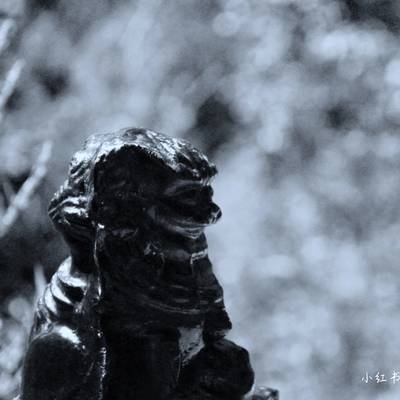 黑白模特