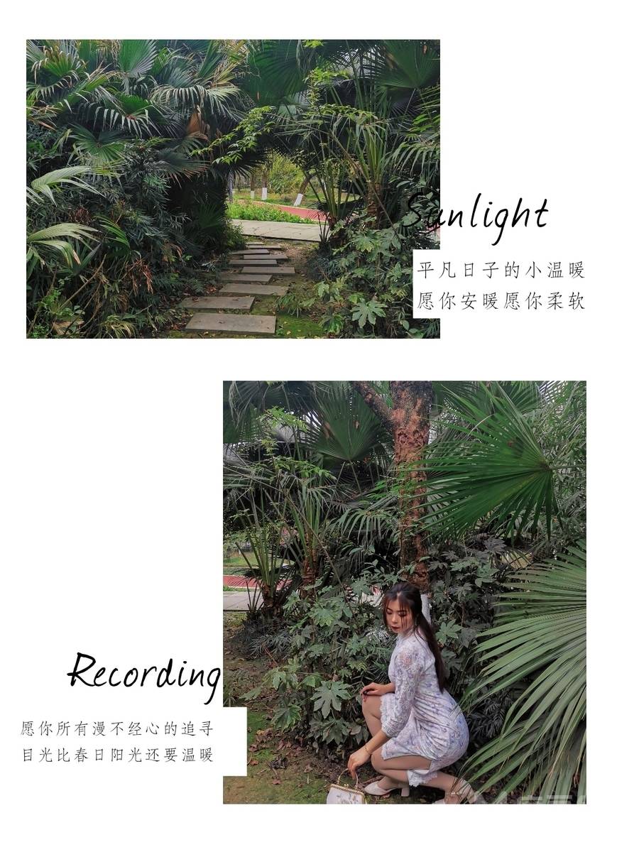 旗袍模特