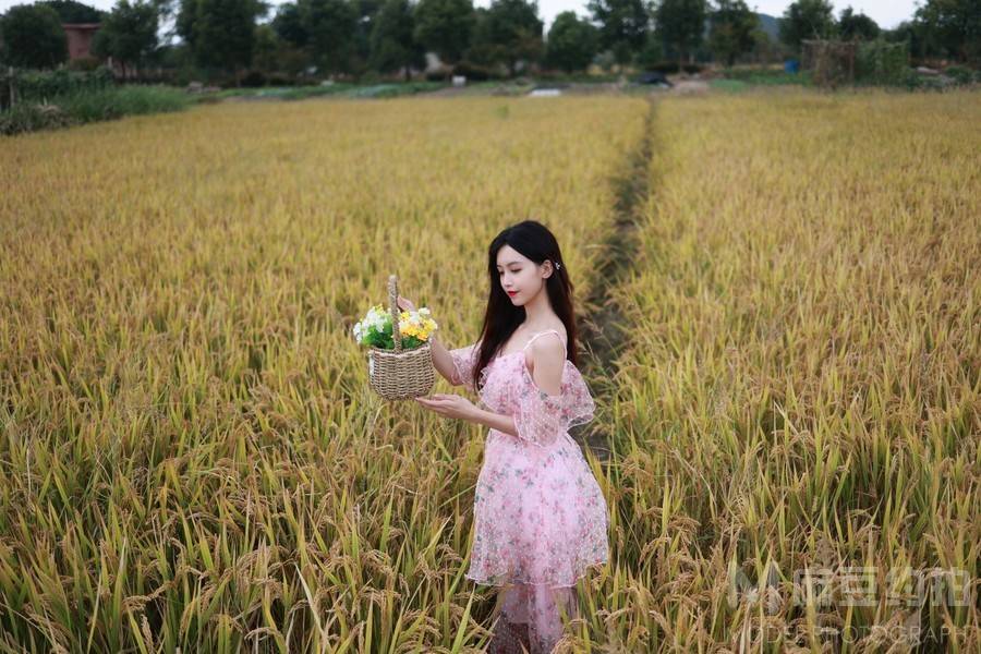 旗袍模特