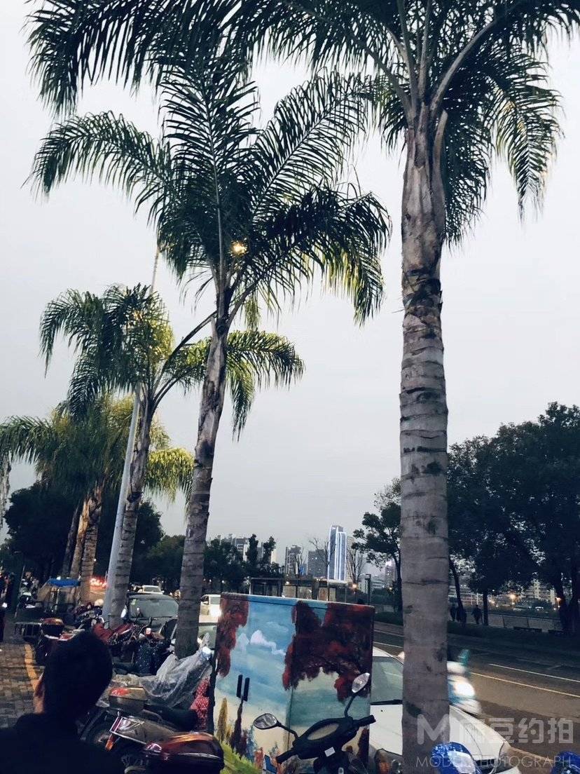 纪实模特