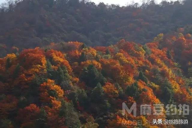 旗袍模特