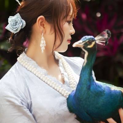 清新模特