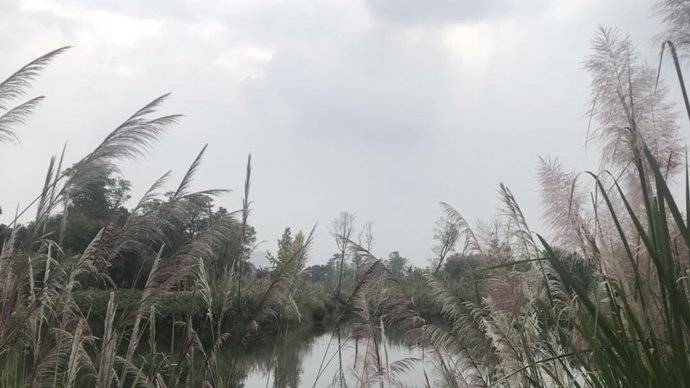 洛带古镇湿地公园