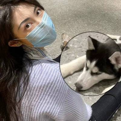 孕照模特