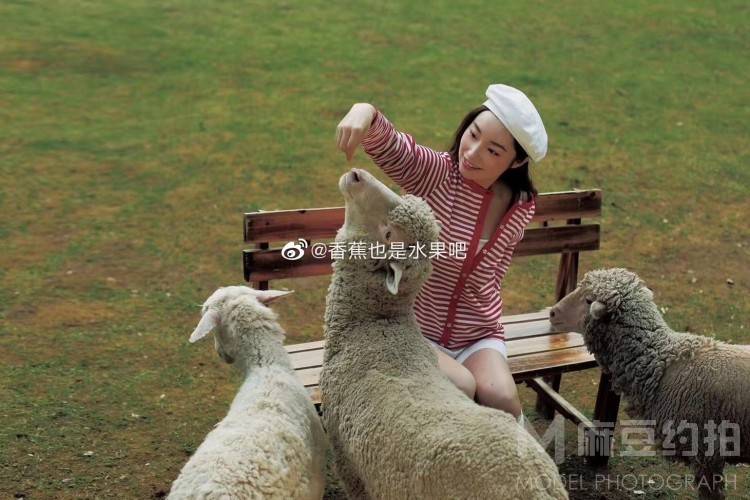 胶片模特