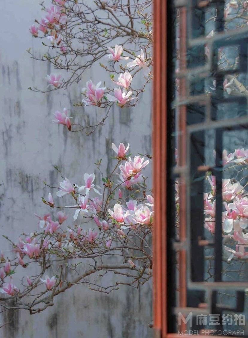 复古模特