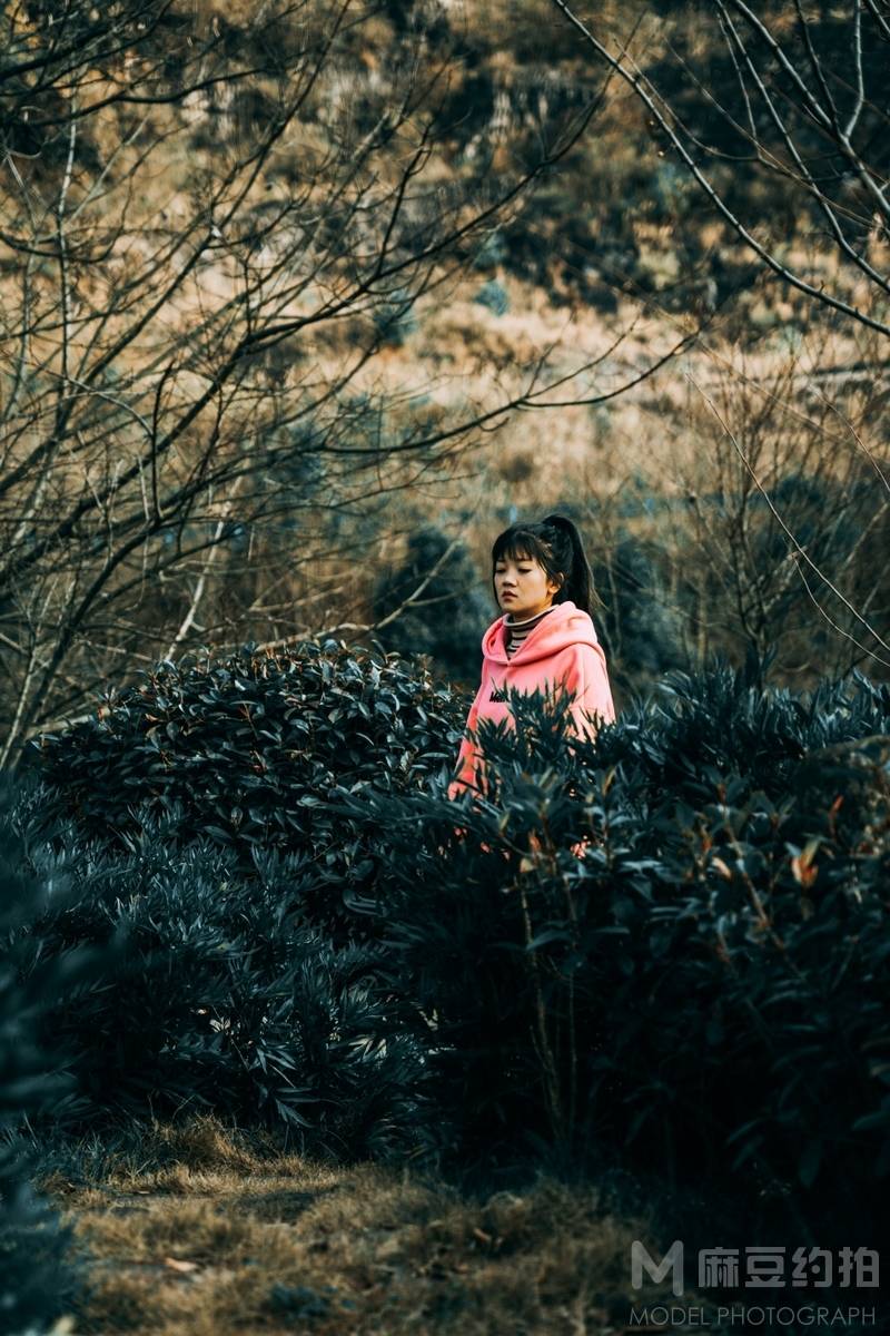 清新模特