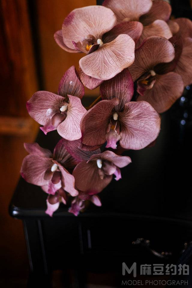 胶片模特