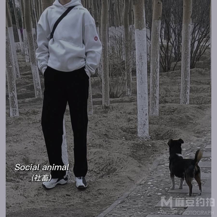 韩系模特