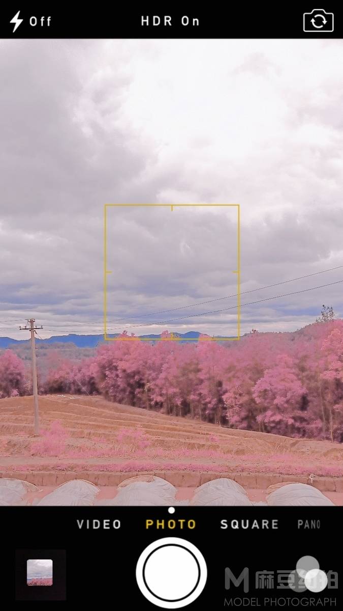 清新模特