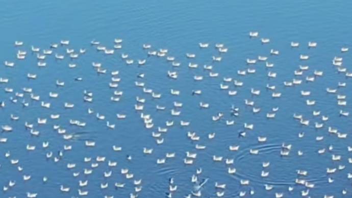 衡水湖国家级湿地公园(4A)