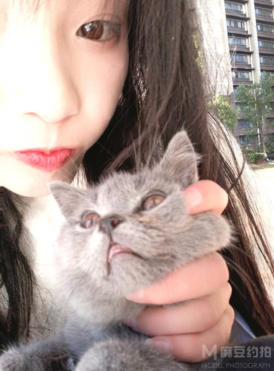 清新模特