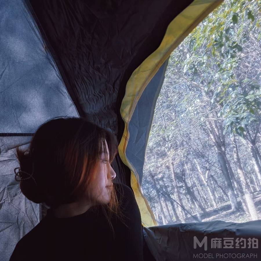 胶片模特