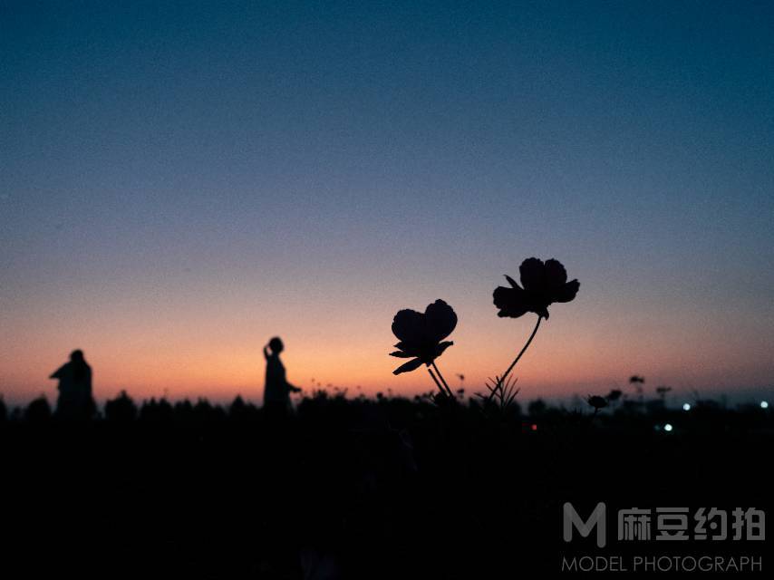 纪实模特