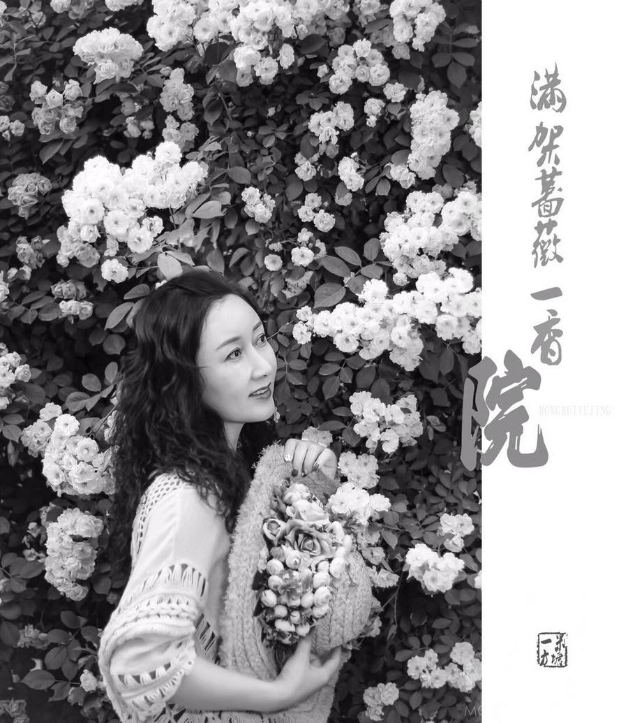 孕照模特