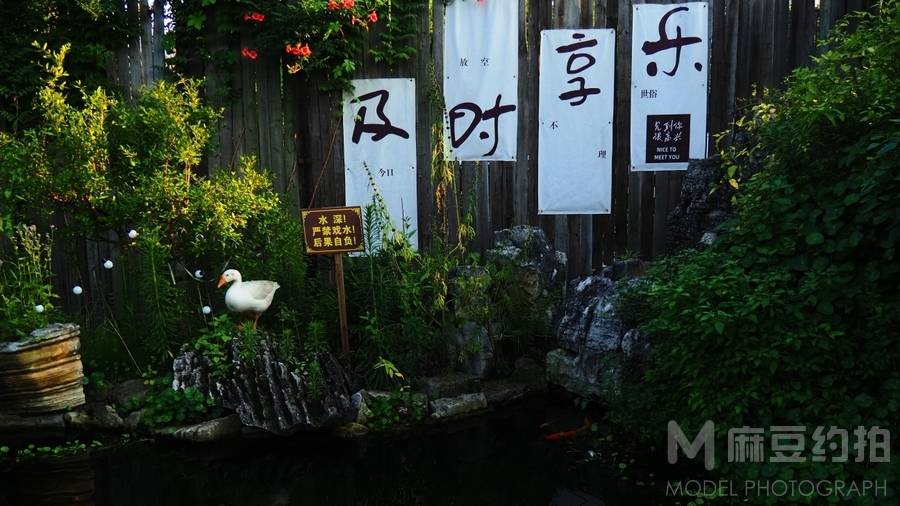 纪实模特