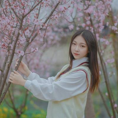 校园模特