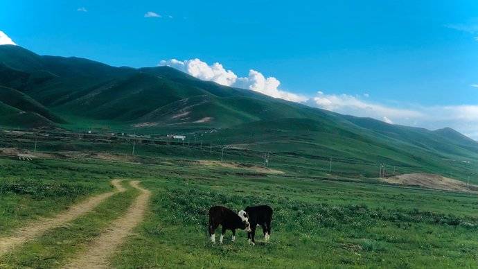 青海刚嚓县