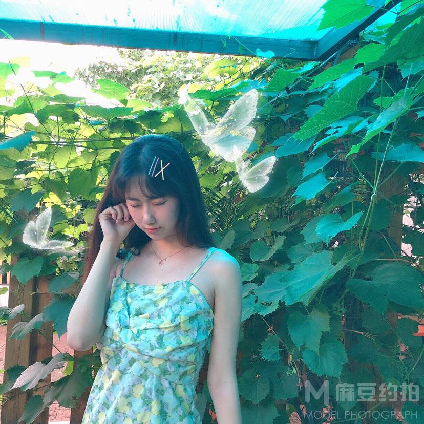 韩系模特