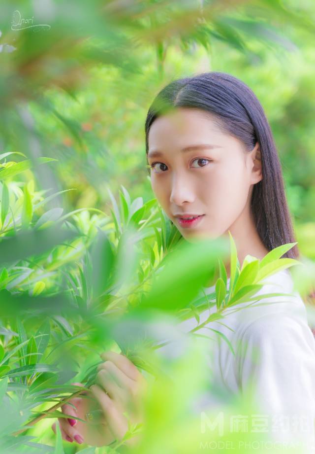 清新模特