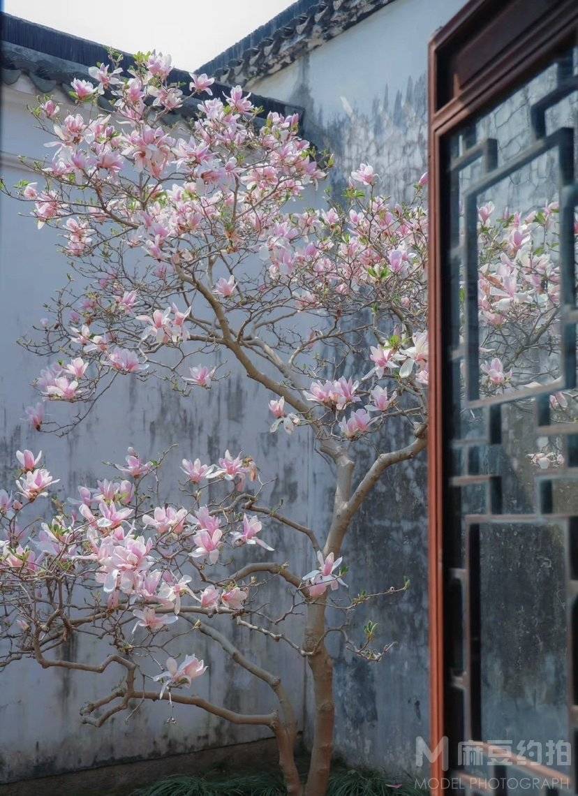复古模特