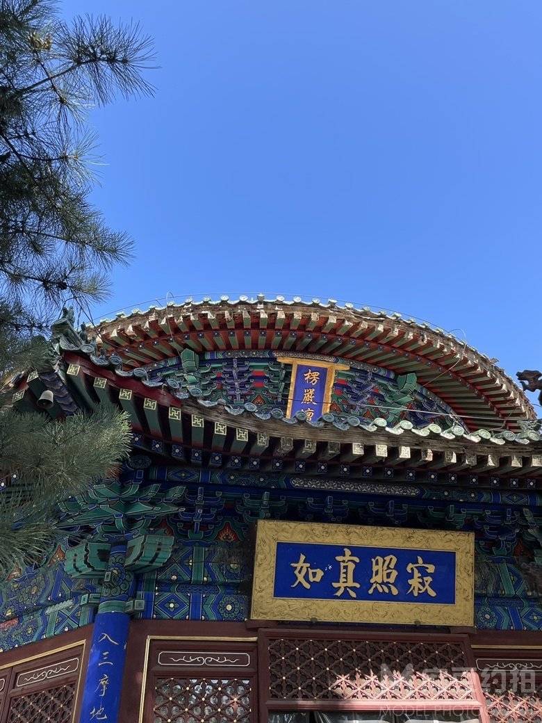 纪实模特
