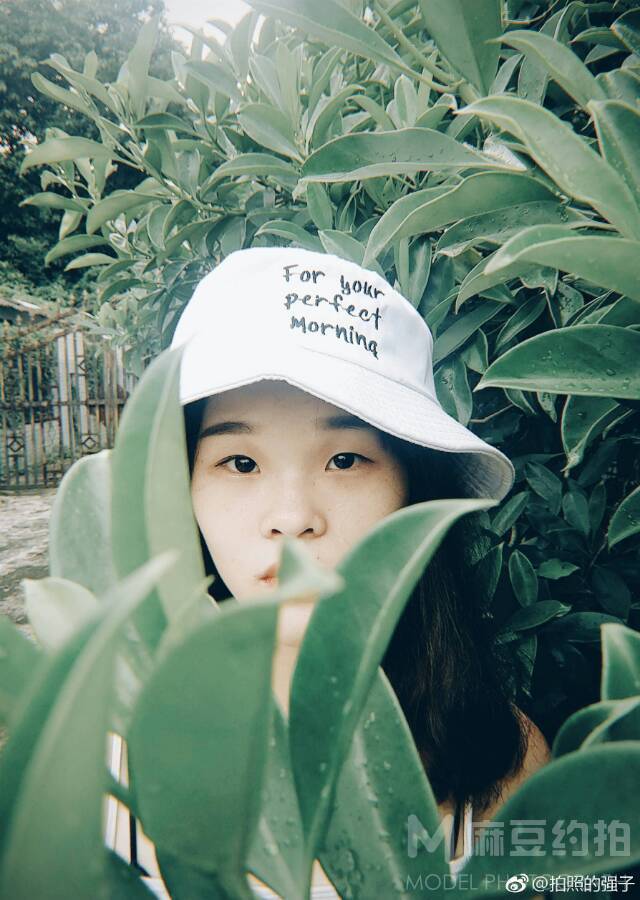胶片模特