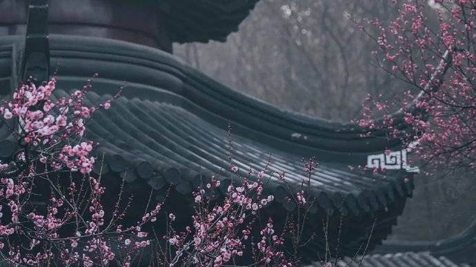 南京雨花台风景区梅岗