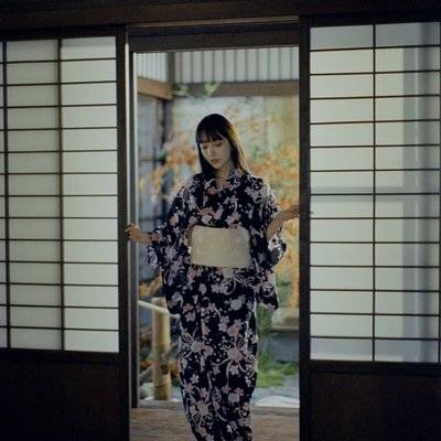 胶片模特