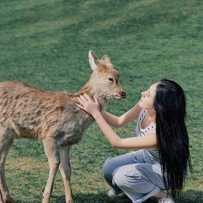 清新模特