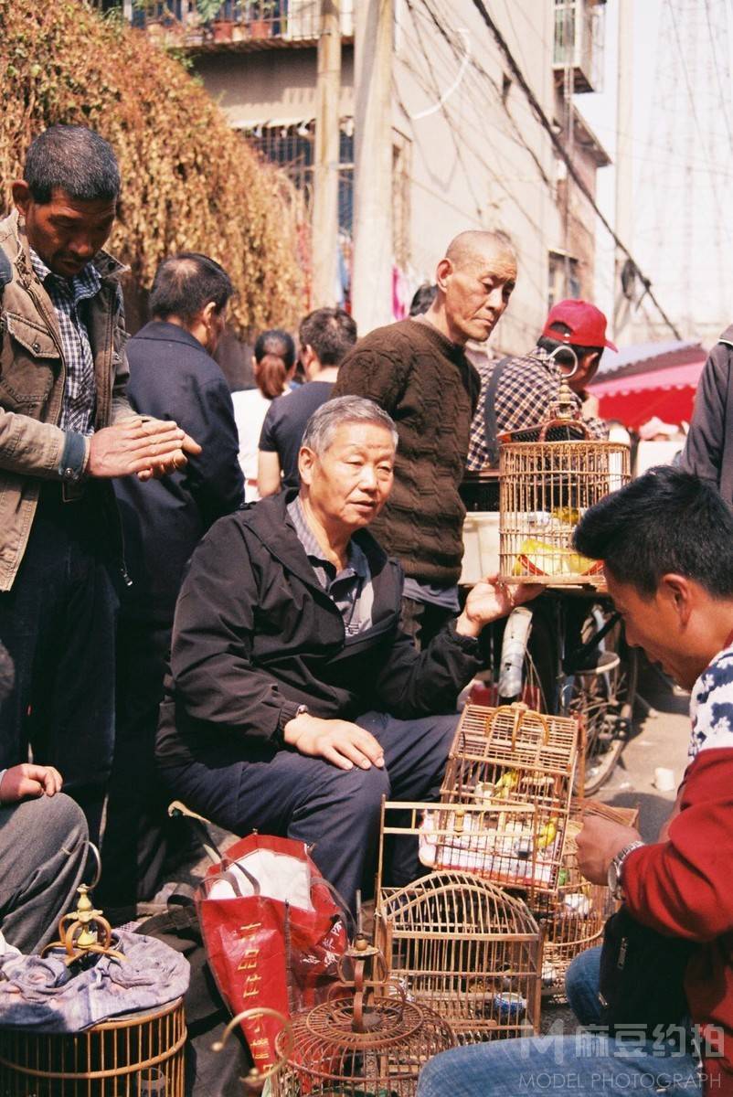 胶片模特