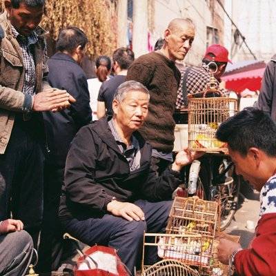 胶片模特