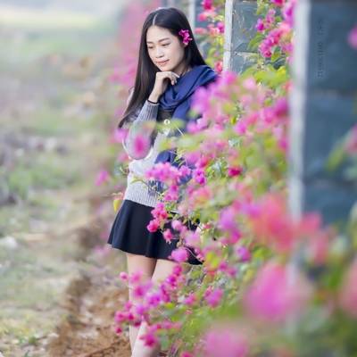 清新模特