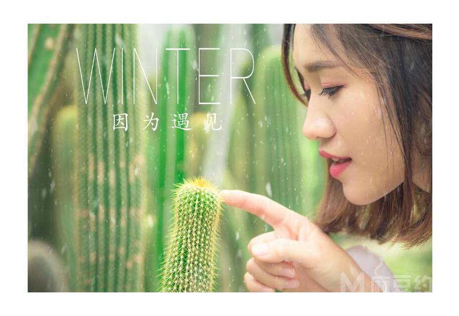 清新模特