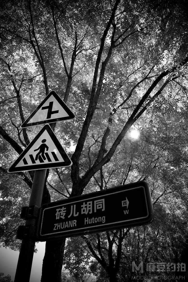 纪实模特