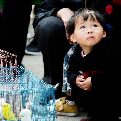 儿童摄影模特