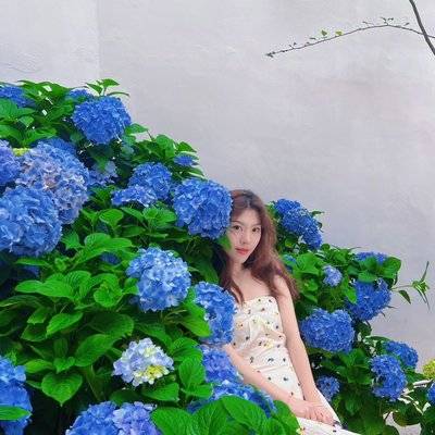 韩系模特