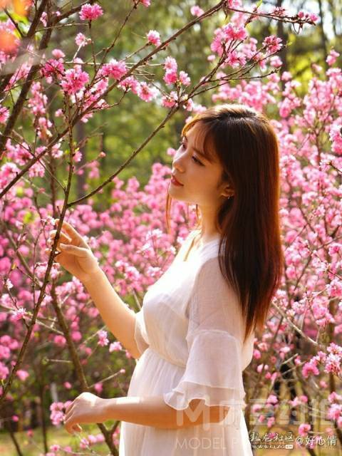 清新模特