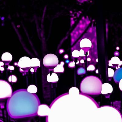 夜景模特