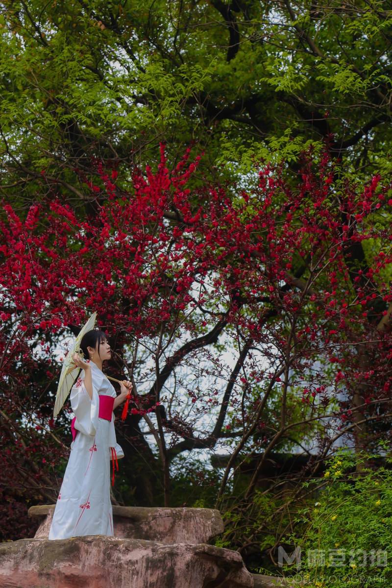 和服模特