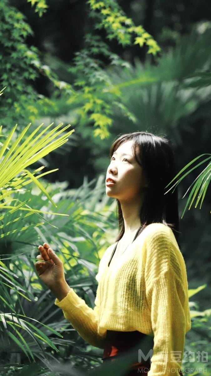 胶片模特