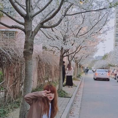 韩系模特