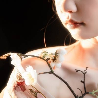 胶片模特