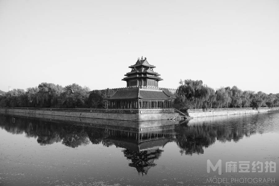 宝丽来模特