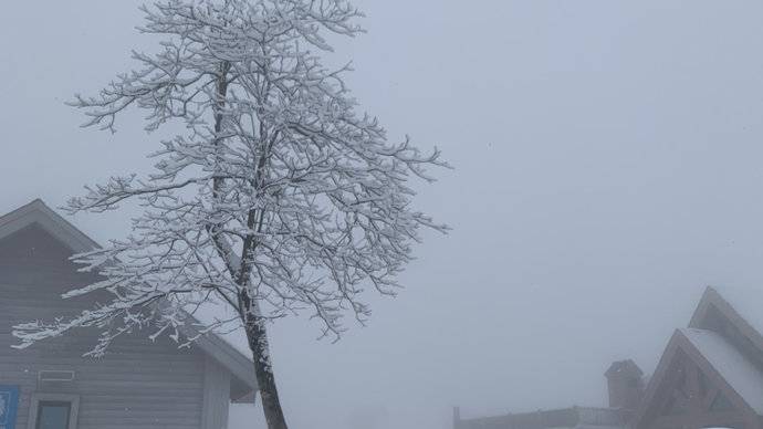 西岭雪山风景区