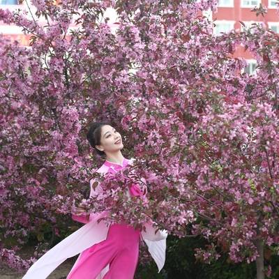 校园模特