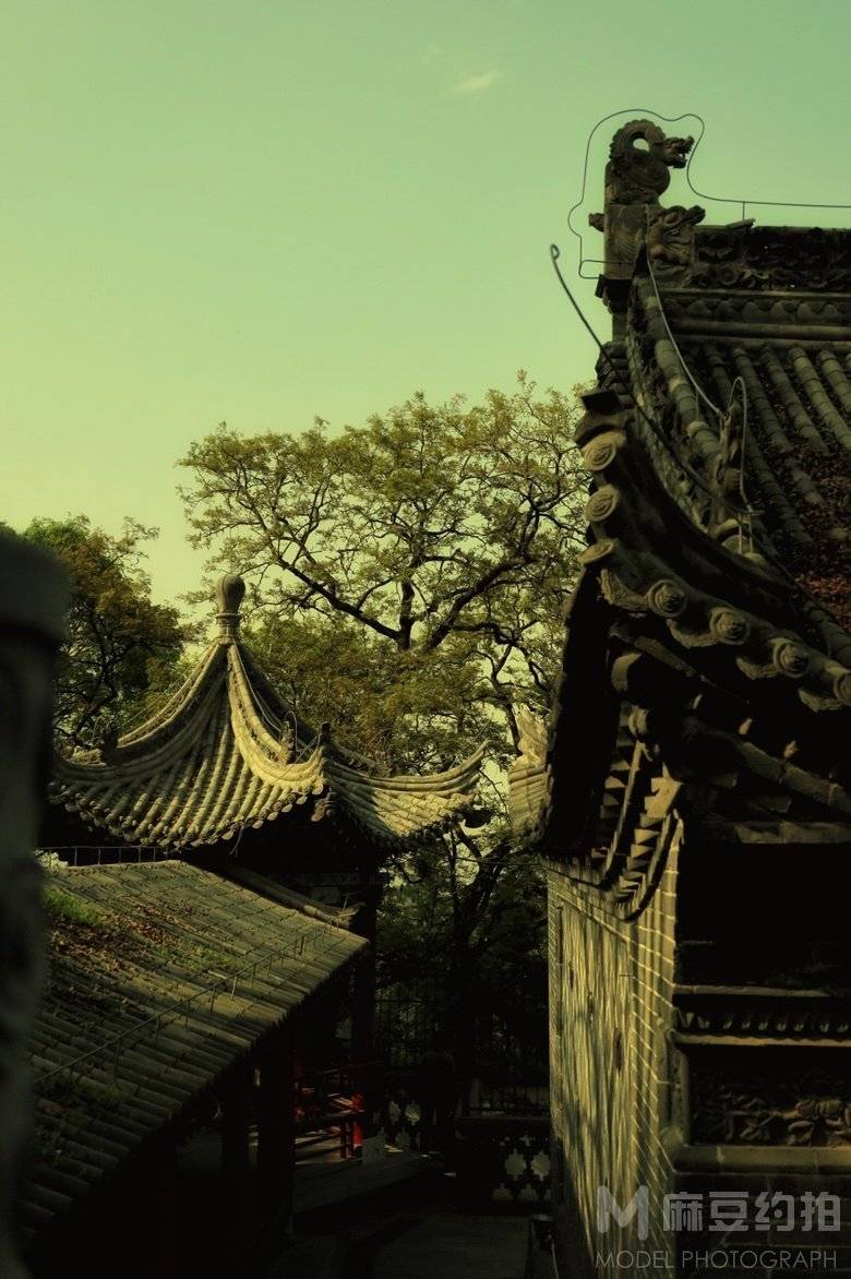 纪实模特
