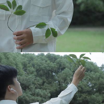 清新模特