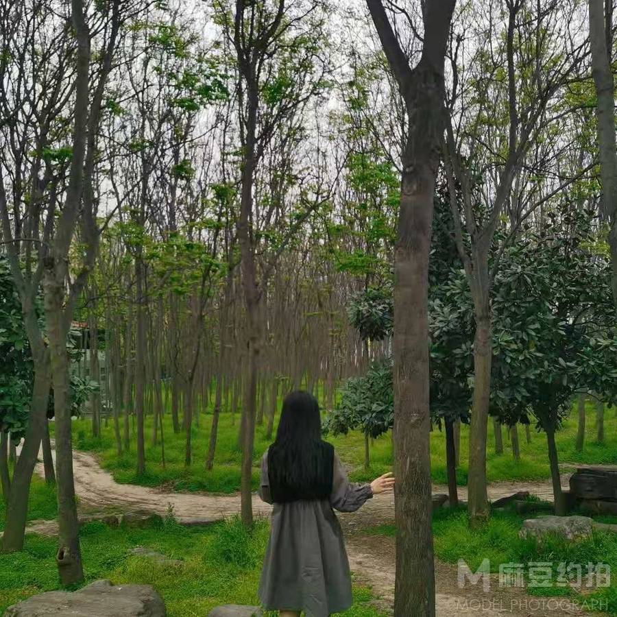 韩系模特