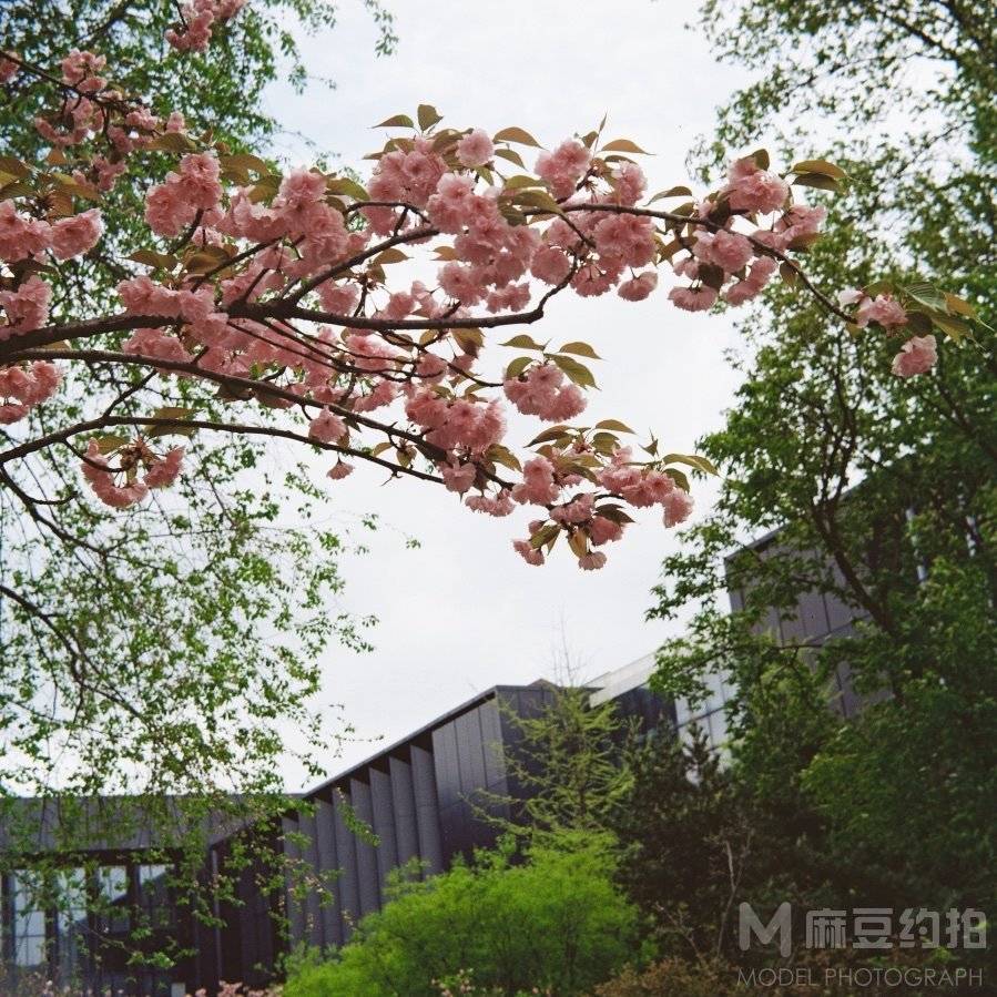 胶片模特